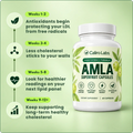 LOOP Amla Superfruit Capsules 3
