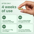 LOOP Amla Superfruit Capsules 3
